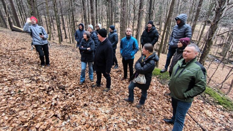 Prace projektowe KGHM CUPRUM na potrzeby udostępnienia tzw. „Partii Mastodonta” Jaskini Niedźwiedziej w Kletnie