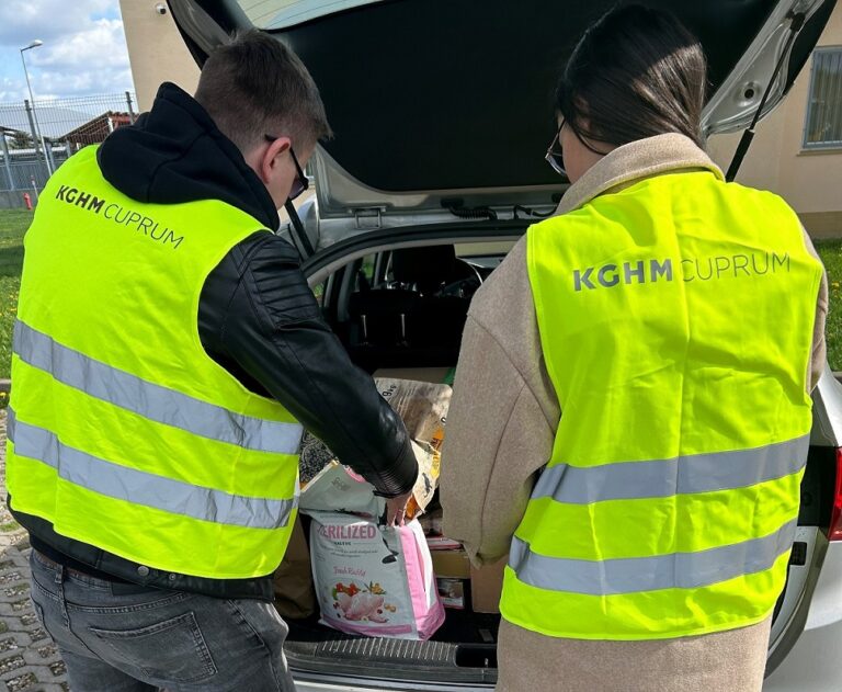 Finał akcji „Pełna miska dla schroniska”